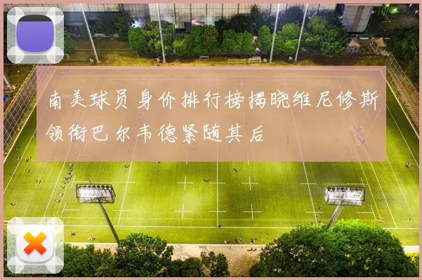 南美球员身价排行榜揭晓维尼修斯领衔巴尔韦德紧随其后